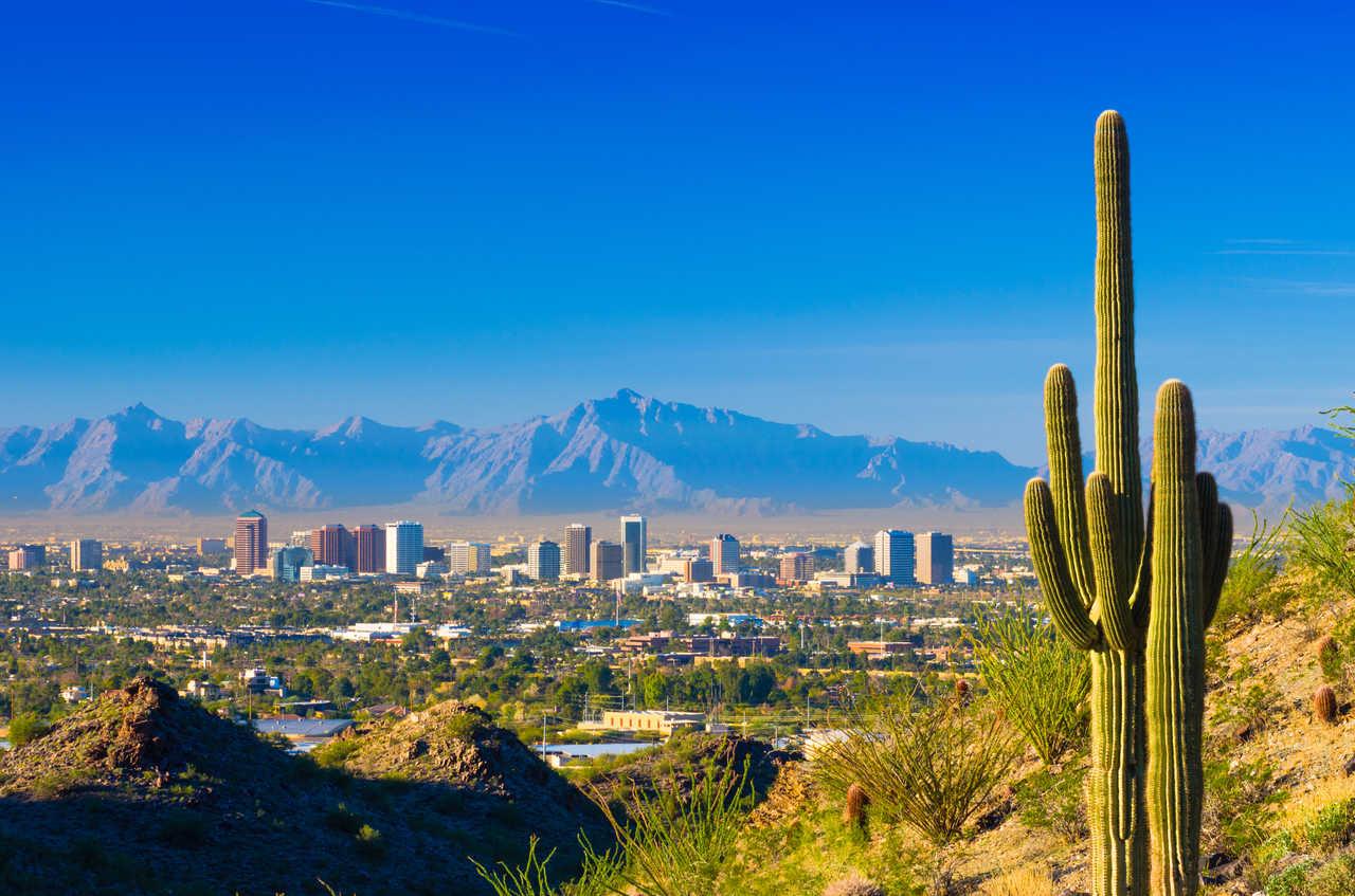 Cambria Hotel Phoenix - North Scottsdale Экстерьер фото