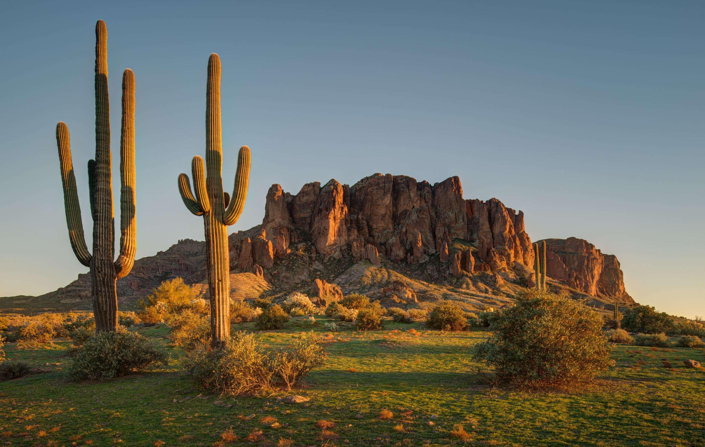 Cambria Hotel Phoenix - North Scottsdale Экстерьер фото